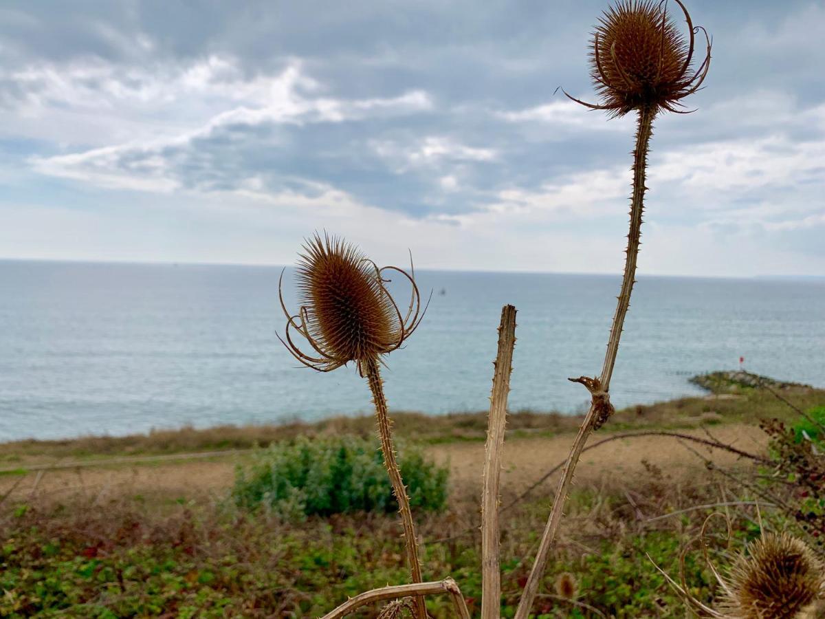 מילפורד און סי Shorefield Country Park, Where The New Forest Meets The Sea, Passes For All Entertainment Included מראה חיצוני תמונה